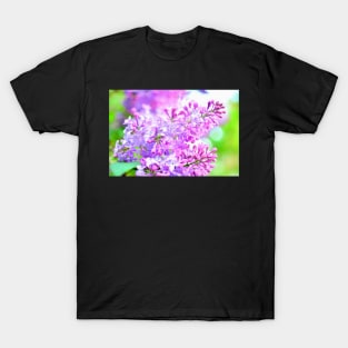 Delicate blossom. T-Shirt